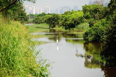 華全發(fā)電機組點贊！香港將建最大堆填沼氣發(fā)電工程