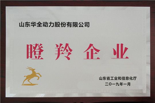 華全集團被評為山東省瞪羚企業