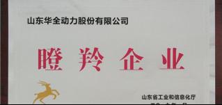 新春將至，喜報頻傳！華全集團被認定為山東省瞪羚企業！