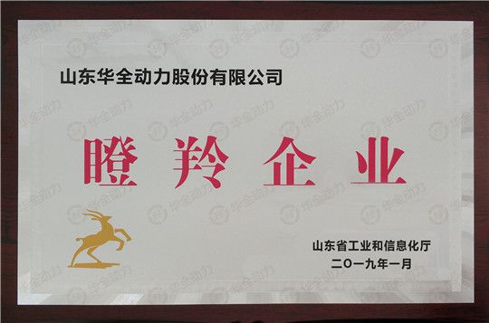 華全集團(tuán)被評(píng)為山東省瞪羚企業(yè)